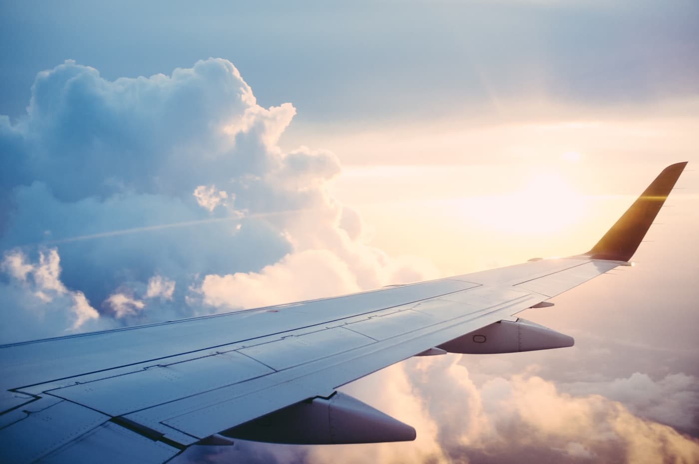 Travel & Tours — Travel / Hospitality / Corporate